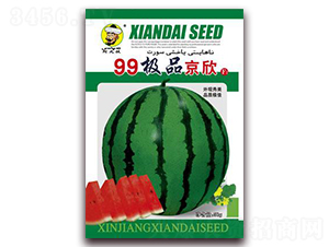 99����-��������-�ִ���ҵ