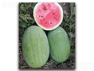�챦��-��������-�ִ���ҵ