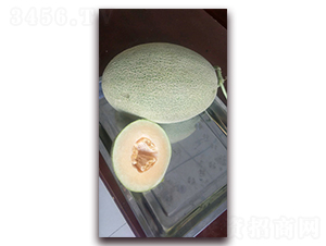 �۱�����-�������-�ִ���ҵ