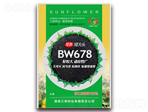 ���찫��ͷBW678-�Ϳ�����-������ҵ