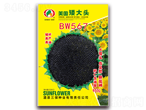 ��������ͷBW567-�Ϳ�����-������ҵ