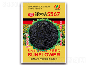 ��Ʒ����ͷS567-�Ϳ�����-������ҵ