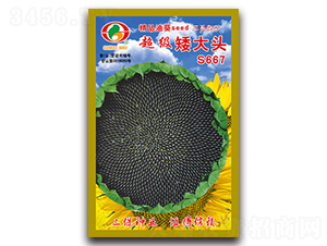 ��������ͷS667-�Ϳ�����-������ҵ