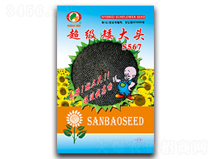 ��������ͷS567-�Ϳ�����-������ҵ