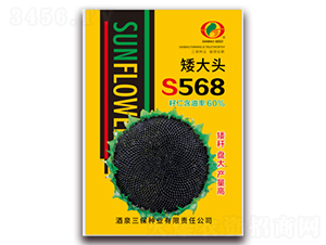 ����ͷS568-�Ϳ�����-������ҵ