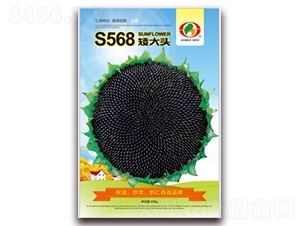 S568����ͷ-�Ϳ�����-������ҵ