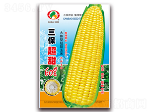 ��������608-����������-������ҵ