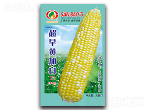 ����ƼӰ�F1-����������-������ҵ