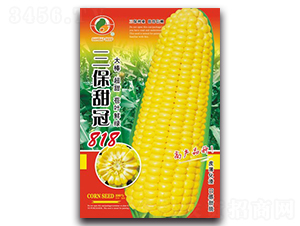 �������818-����������-������ҵ