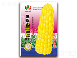 �������Ŵ8��-Ŵ��������-������ҵ