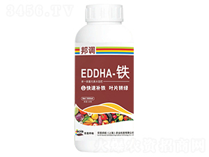 EDDHA����-���-�Ͷ����