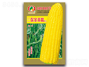 �������ŴF1-Ŵ��������-������ҵ