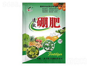 400g���-�̷�