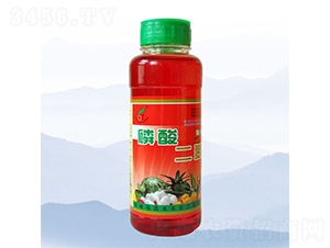 500ml��������-�̷�