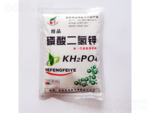 400g��������-�̷�