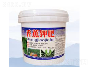 10kg�㽶�ط�-�̷�