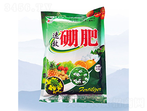 ��ʣ�400g��-�̷�