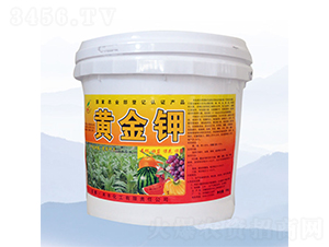10kg�ƽ��-�̷�