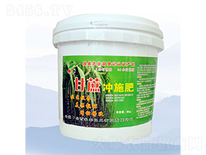 8kg�����ʩ��-�̷�