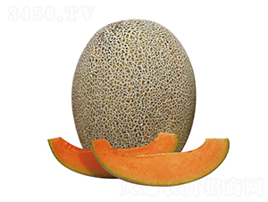 �λ�-�������-��ľ����