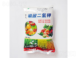 400g��Ԫ��������-�̷�