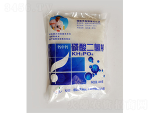 400g���и���������-�̷�