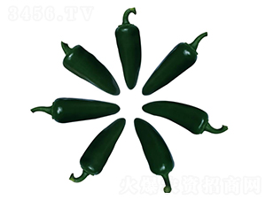 ����06-��������-��ľ����