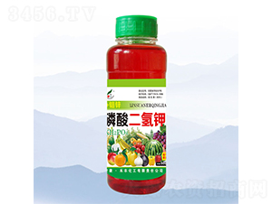 500ml����п��������-�̷�
