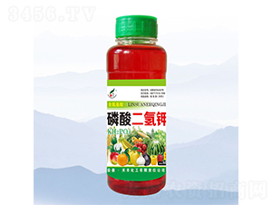 500ml����������������-�̷�