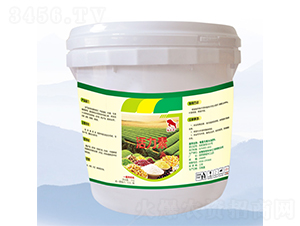 ������-�̷�