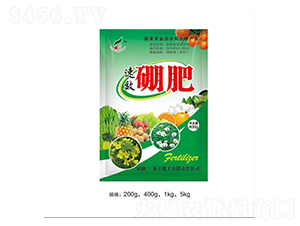 ���400g-�̷�