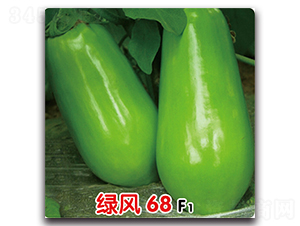 �̷�68F1-��������-ʢ����ҵ