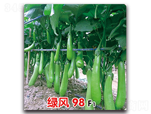 �̷�98F1-��������-ʢ����ҵ