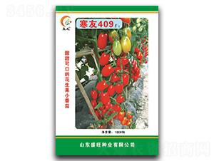 ����409F1-��������-ʢ����ҵ