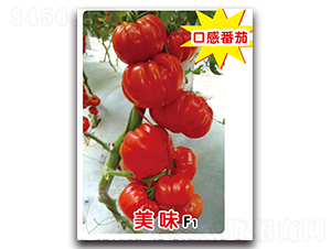 ��ζF1-��������-ʢ����ҵ