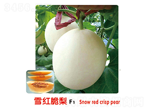 ѩ�����F1-�������-ʢ����ҵ