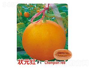 ״Ԫ��F1-�������-ʢ����ҵ