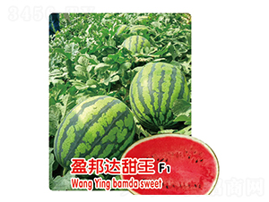 ӯ�������F1-��������-ʢ����ҵ