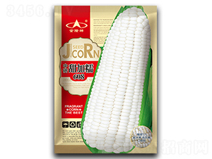 ���Ŵ608-Ŵ��������-��¡��