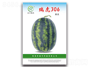 ��306����-��������-��������