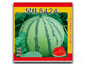 ���8424-��������-��¡��