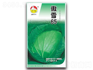 ��ѩ65-��������-������ҵ