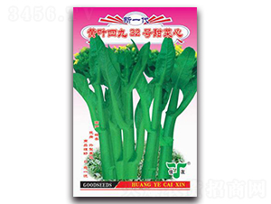 ��Ҷ�ľ�32�������-��������-������ҵ
