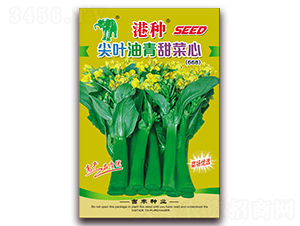 ���ּ�Ҷ������ģ�668��-��������-������ҵ