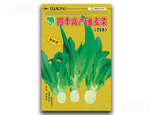�ļ��߲�����(268)-���������-������ҵ