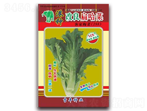 ���ָ�������ˣ�298��-�������-������ҵ