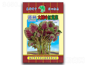 ���ִ�ԲҶ���Ȳˣ�228��-�Ȳ�����-������ҵ