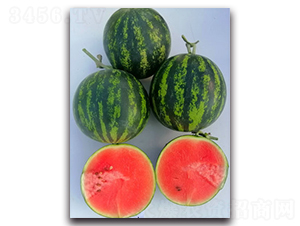 WA12-��������-�һ���ҵ