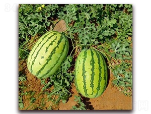WA09-��������-�һ���ҵ