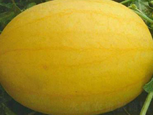 WA07-��������-�һ���ҵ